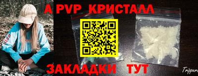 a pvp Дубна