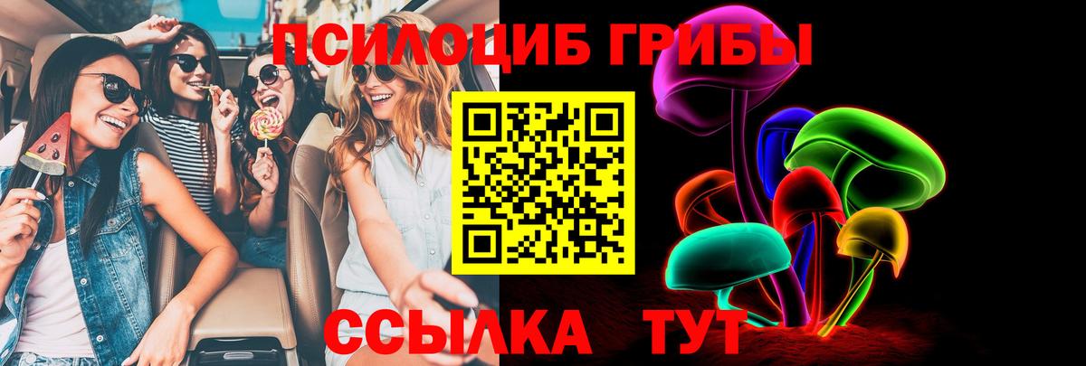 Лыткарино  Галлюциногенные грибы Psilocybine cubensis  Вход с VPN 