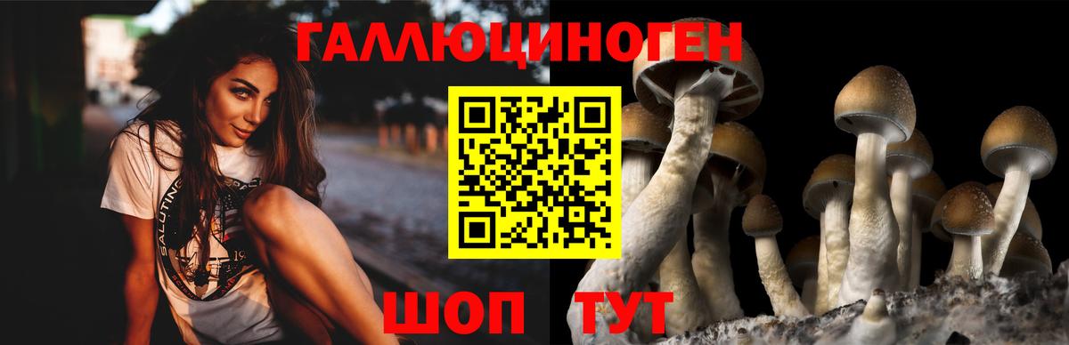 Галлюциногенные грибы мухоморы Лыткарино